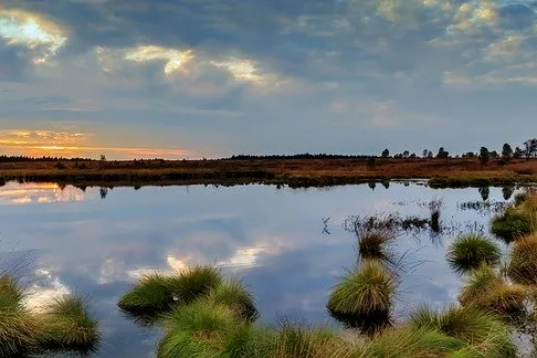 Blick auf einen Holzsteg im Moor mit nebliger Umgebung